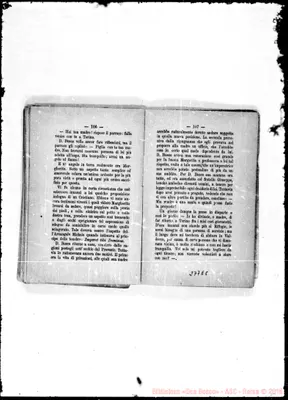 Fotogramma E 8
