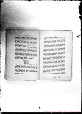 Fotogramma E 12