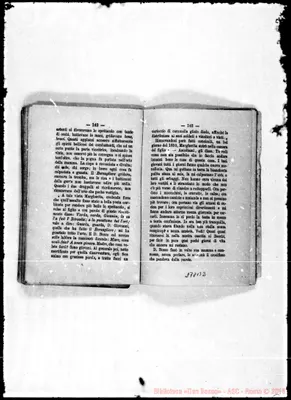 Fotogramma B 2