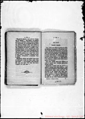 Fotogramma B 3