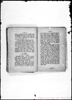 Fotogramma C 1