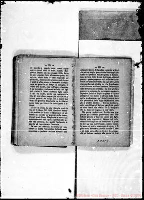 Fotogramma C 4