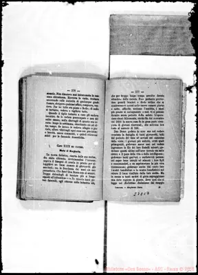 Fotogramma C 7