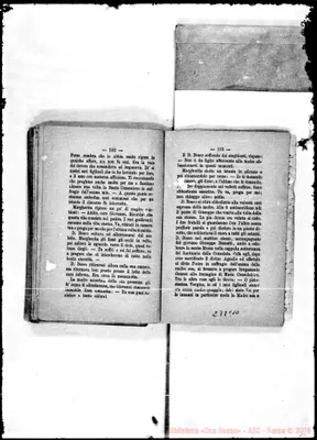 Fotogramma C 10