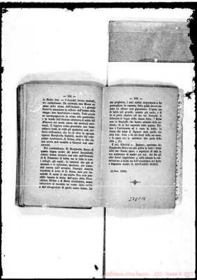 Fotogramma C 11
