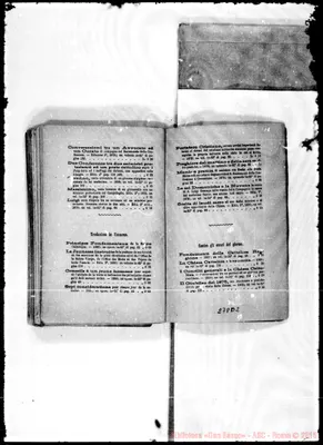 Fotogramma D 2