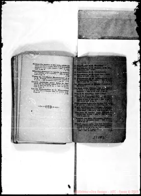 Fotogramma D 3