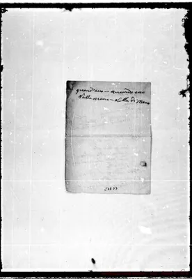 Fotogramma D 7