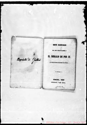 Fotogramma B 2