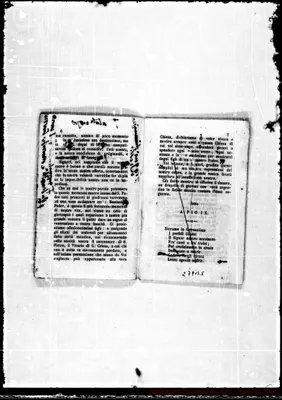 Fotogramma B 5