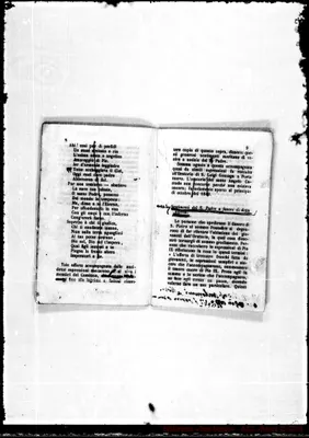 Fotogramma B 6