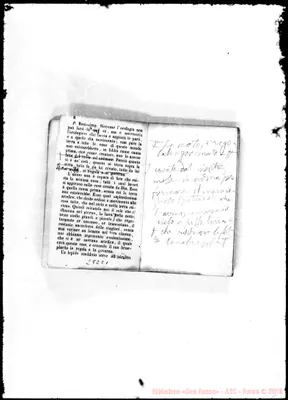 Fotogramma C 1