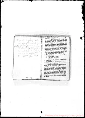 Fotogramma C 2