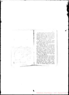 Fotogramma C 8