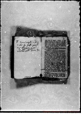 Fotogramma D 2