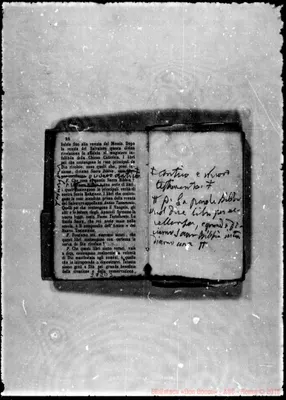 Fotogramma D 3