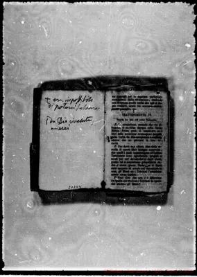 Fotogramma D 4