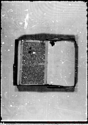Fotogramma D 5