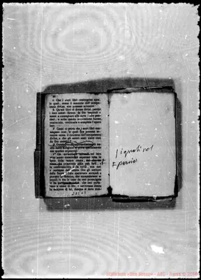 Fotogramma D 7