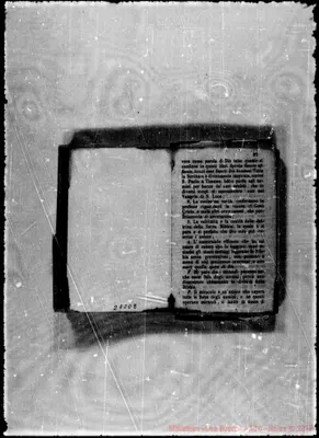 Fotogramma D 8
