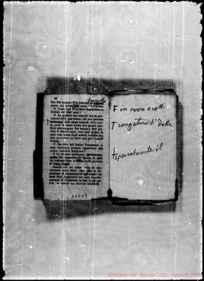 Fotogramma D 9