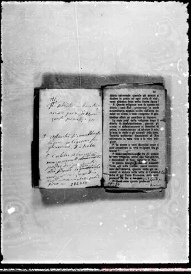 Fotogramma D 12