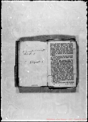 Fotogramma E 2