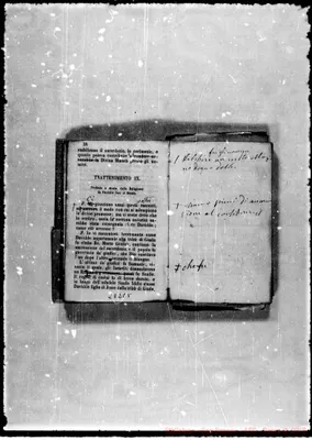 Fotogramma E 5