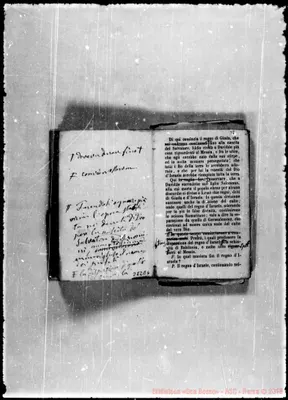 Fotogramma E 6