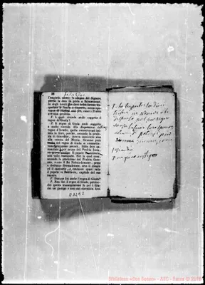 Fotogramma E 7