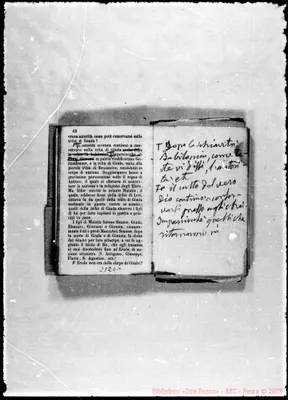 Fotogramma E 11