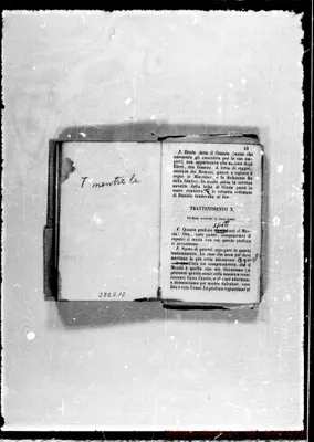 Fotogramma E 12