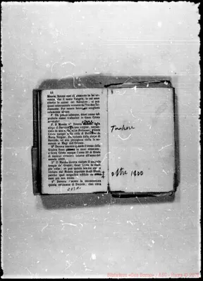 Fotogramma A 1