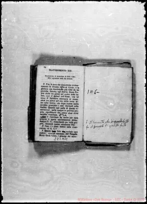 Fotogramma A 11