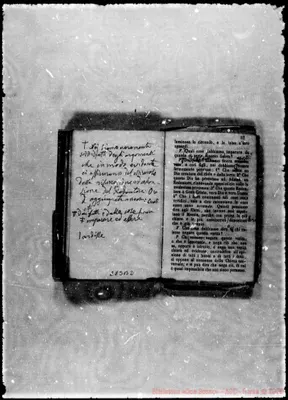 Fotogramma B 2