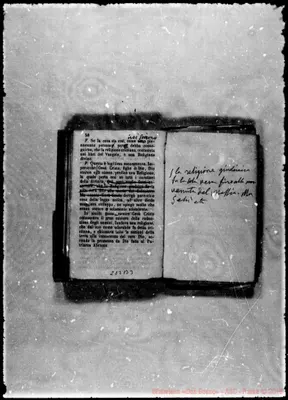 Fotogramma B 3
