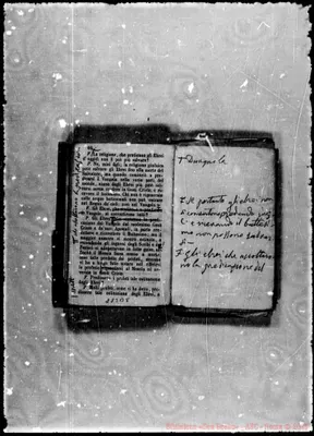 Fotogramma B 5