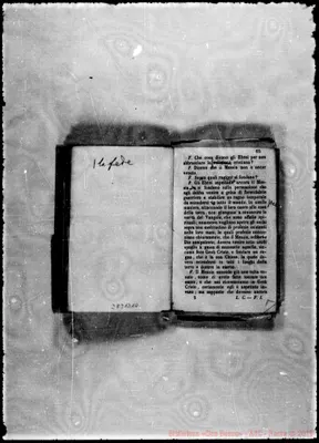 Fotogramma B 10
