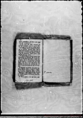 Fotogramma B 11