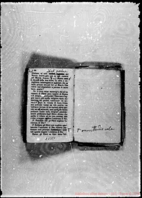 Fotogramma C 1