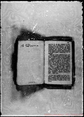 Fotogramma C 2
