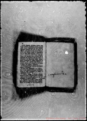 Fotogramma C 3