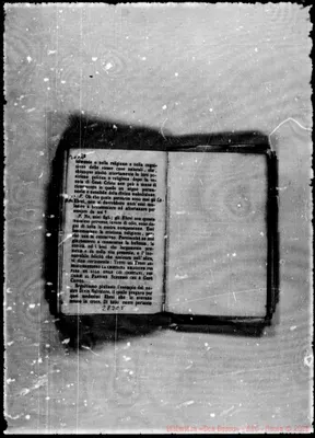 Fotogramma C 5