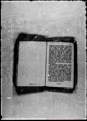 Fotogramma C 6
