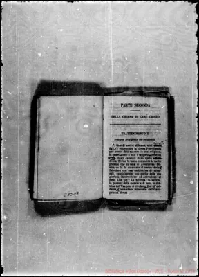 Fotogramma C 7