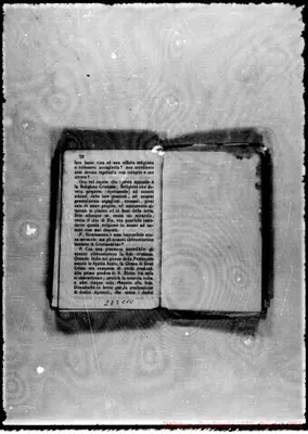 Fotogramma C 10