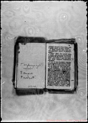 Fotogramma C 11