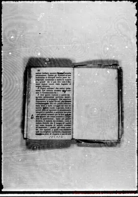 Fotogramma C 12