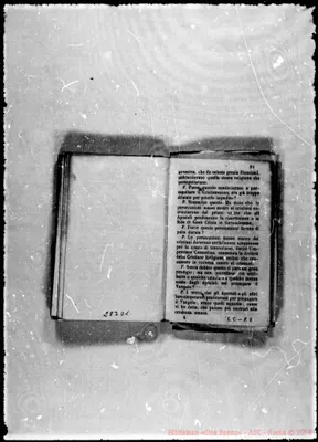 Fotogramma D 1