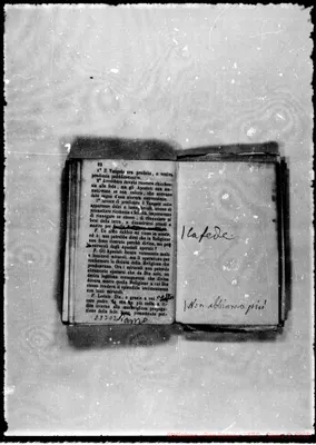 Fotogramma D 2